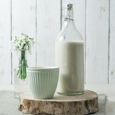 5 Plant-Based Milks You Didn't Know You Could Make