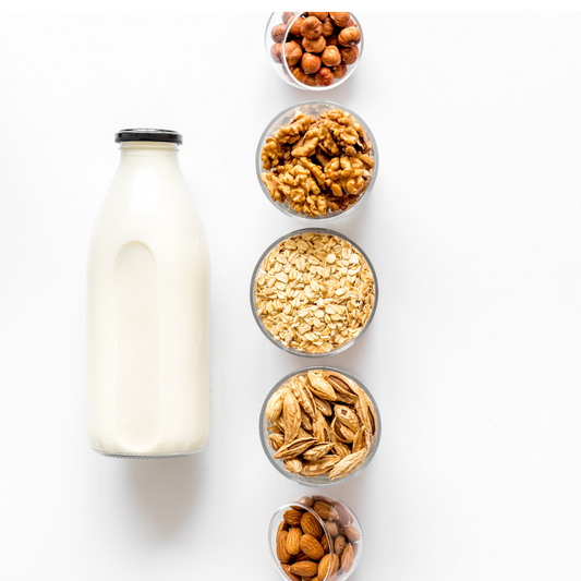 From Almonds to Oats: Comparing Different Plant Milk Options