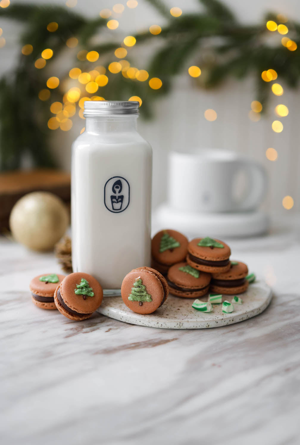 Chocolate Hazelnut Macarons
 – milkyplant