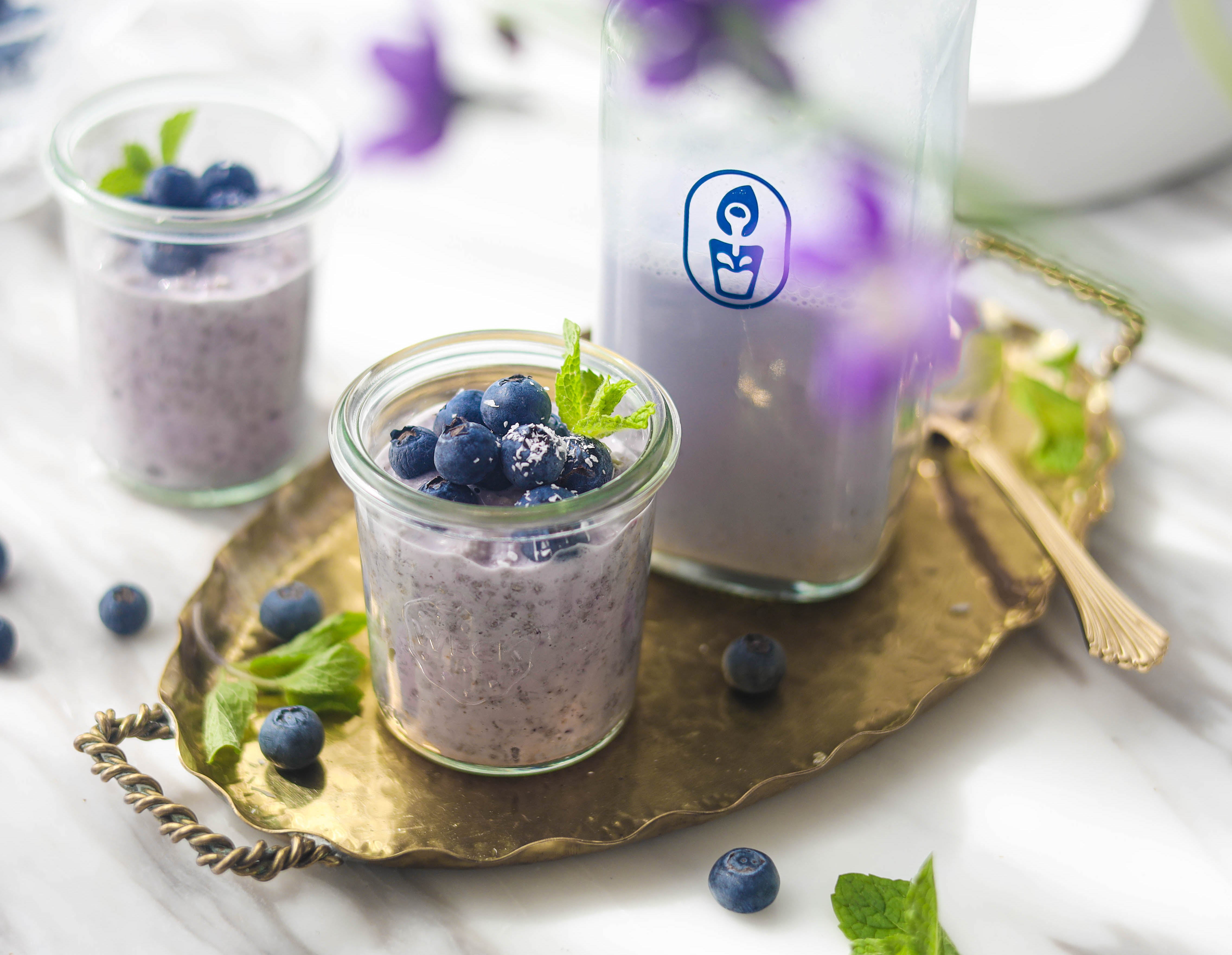 Blueberry Almond Oat Milk &amp; Overnight Oats
 &ndash; milkyplant