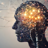 Rewiring Your Brain with Clean Eating: The Plant-Based Advantage