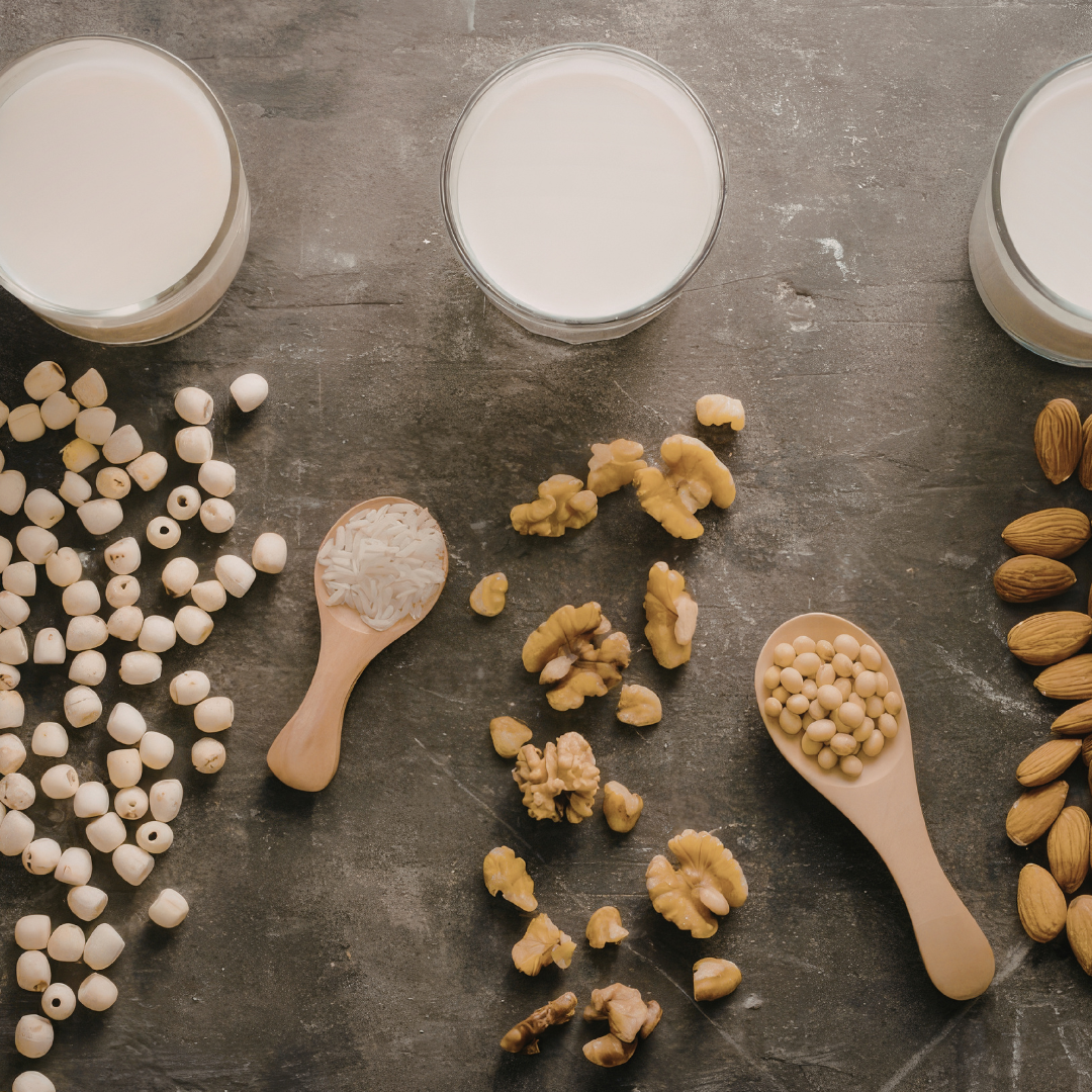 milkyページ The Beginner's Guide to Milky Plant Plus: Everything You Need to