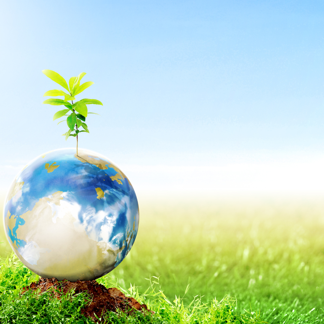 The Impact of Plant-Based Living on Earth Day and Every Day  milkyplant
