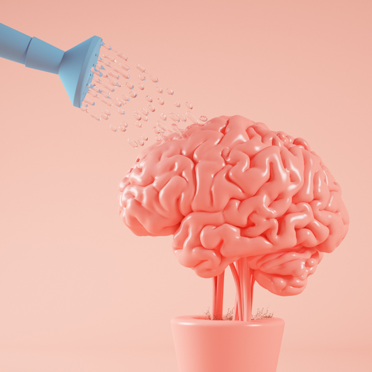 Why Water Is Your Brain's Best Friend (And Your Blood's Too)
