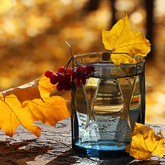 Why You Drink Less Water in Autumn (And How to Fix It)