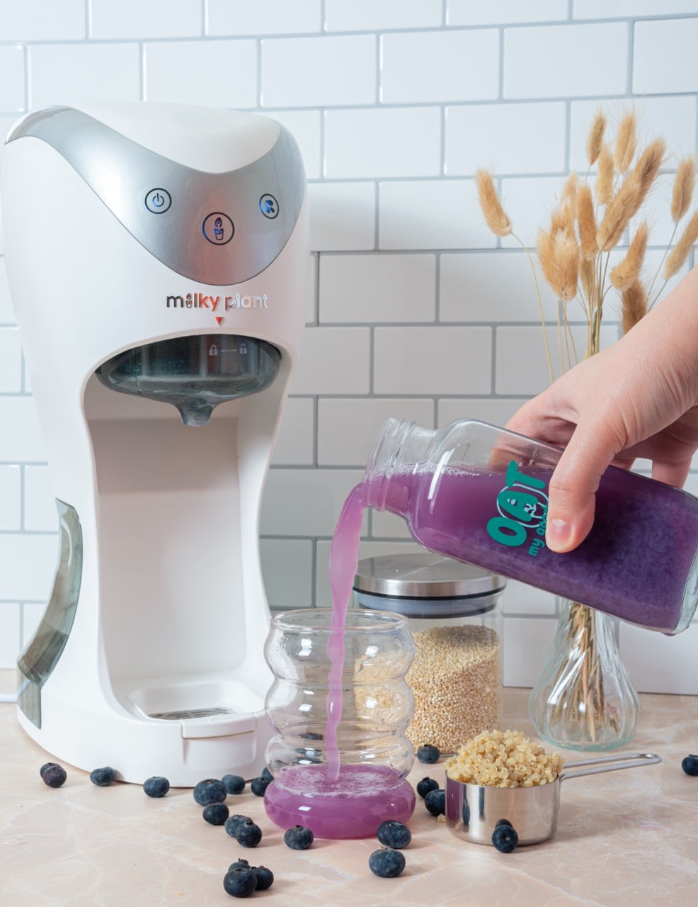 Blueberry quinoa Milk