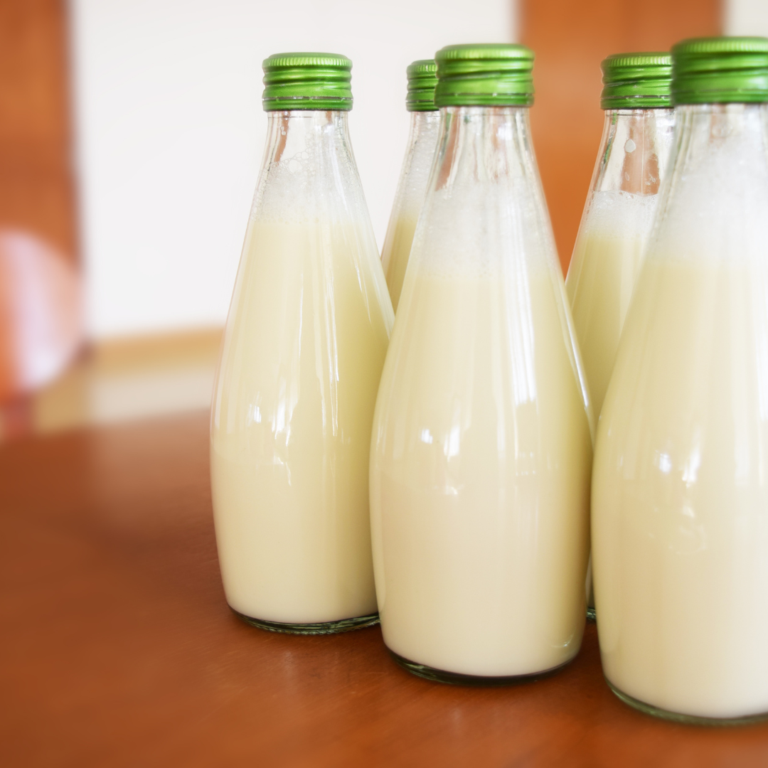 Why Filtered Water is Essential for Making the Best Plant Milk