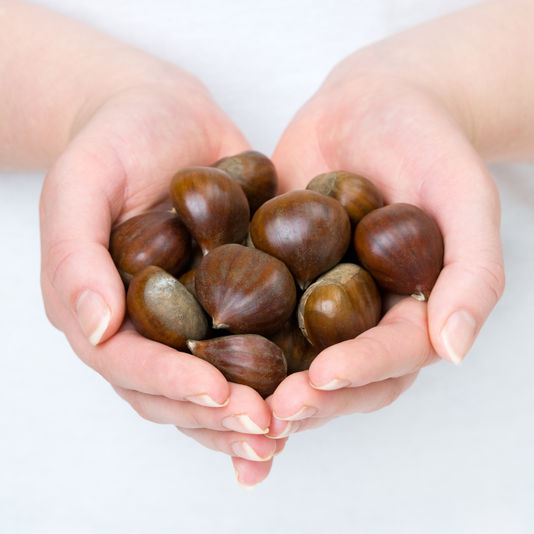 Benefits of Chestnut Milk