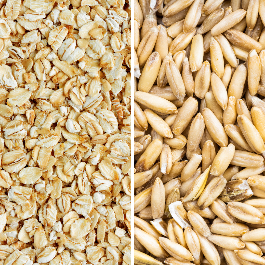 Rolled In Difference Between Rolled Oats and Oat Groats – milkyplant
