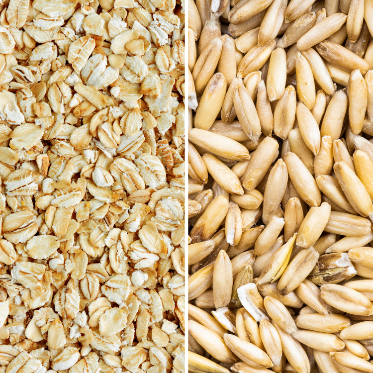 Difference Between Rolled Oats and Oat Groats – milkyplant