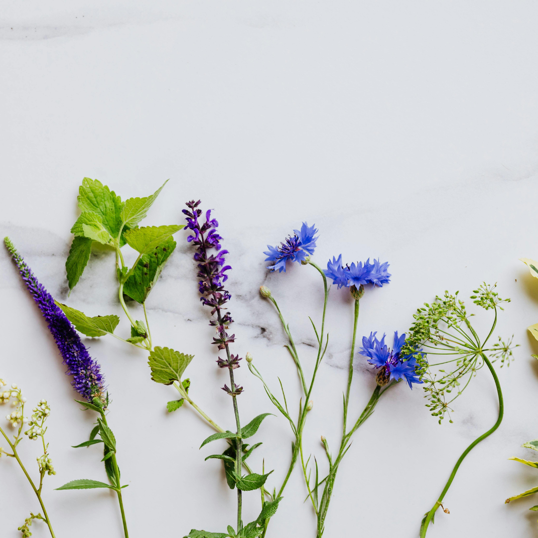 From Blossoms to Beverages: Flower-Infused Plant Milks to Try