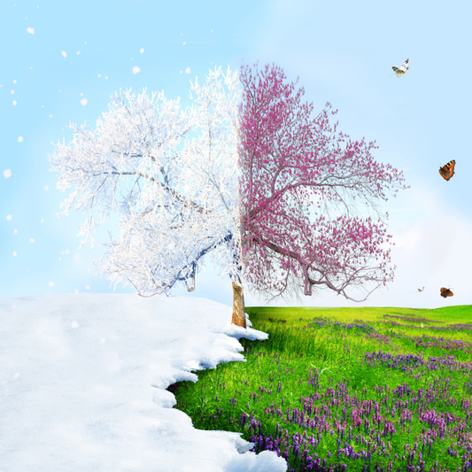 From Hearty to Fresh: How to Transition Your Diet From Winter to Spring