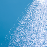 Is Your Shower Routine Vegan? The Overlooked Side of Ethical Living