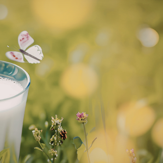 Seasonal Ingredients to Use Before May Ends (and How to Turn Them Into Plant Milk)