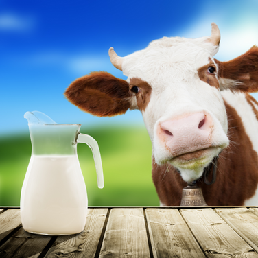 What Will Happen to the Planet if We Give Up Cow's Milk Consumption?