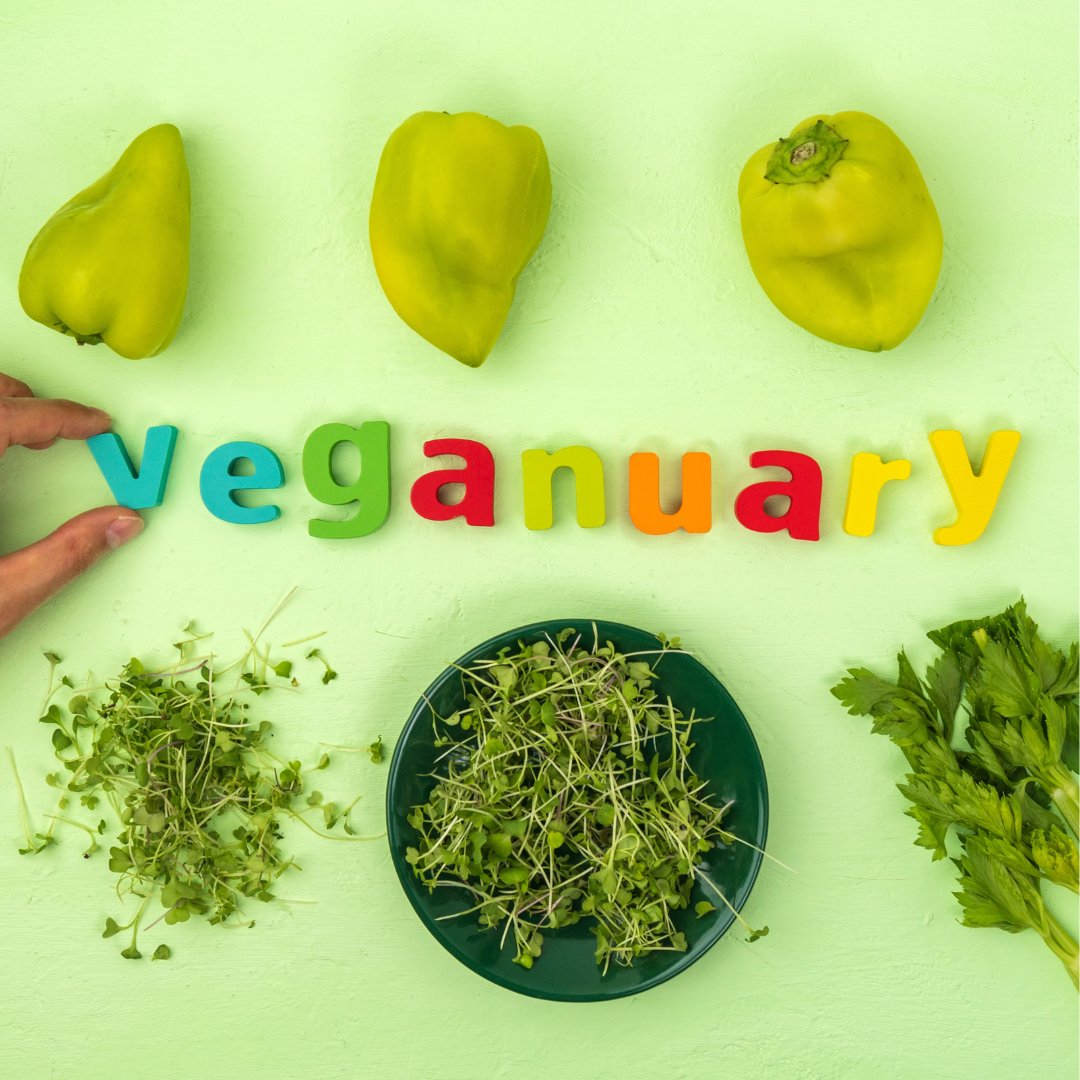Why Fresh Plant Milk is the Perfect Addition to Your Veganuary Journey ...
